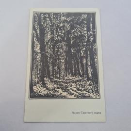 Открытка советская СССР. Аллея Спасского парка, живописный лесной пейзаж. Винтаж