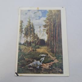 Открытка советская СССР. Пейзаж с лесом и ручьем, изображение природы и животных. Винтаж