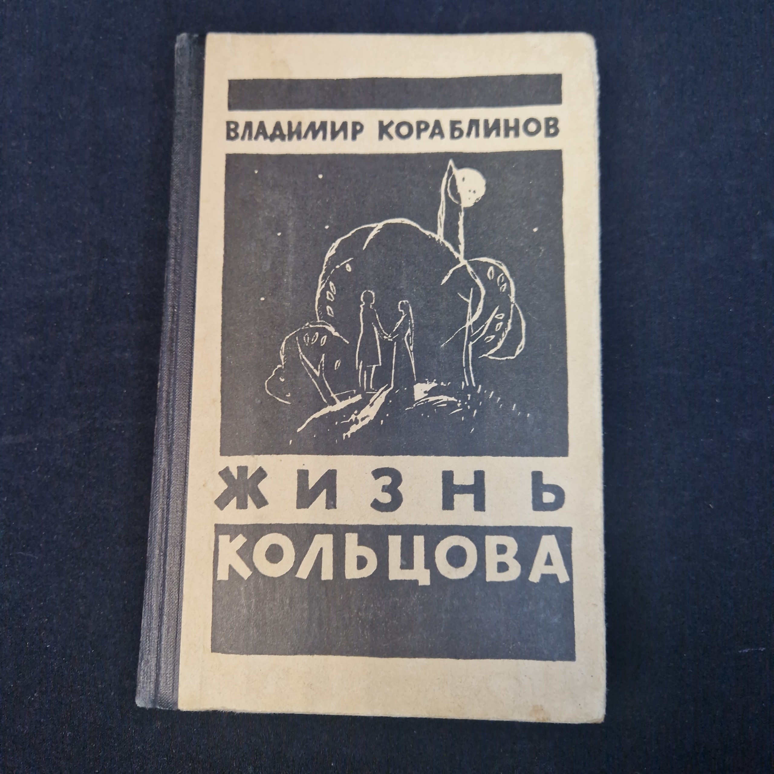 Картинка 1