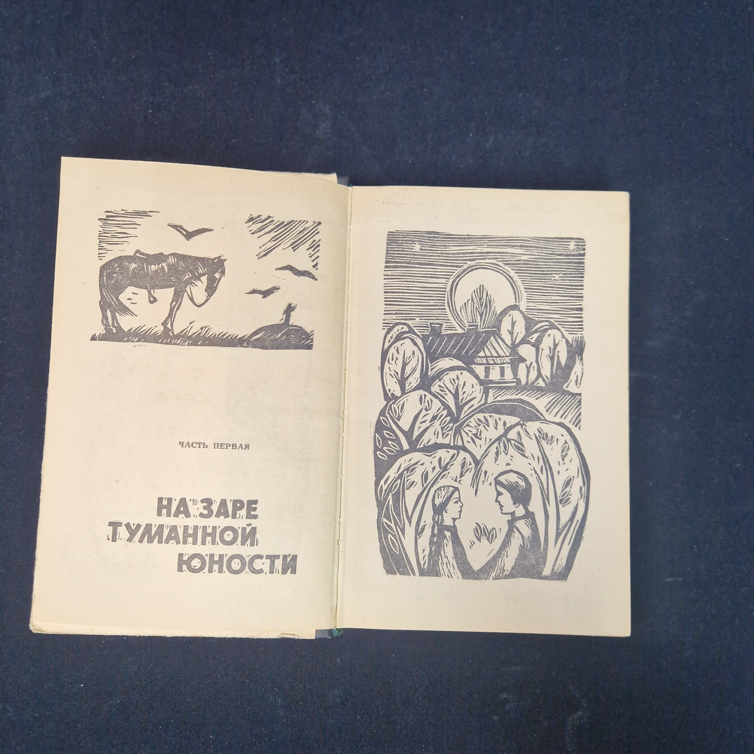 Картинка 5