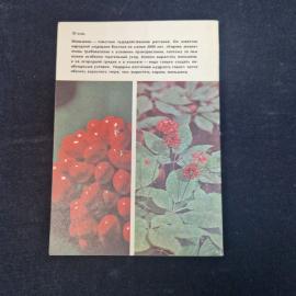 Картинка 3