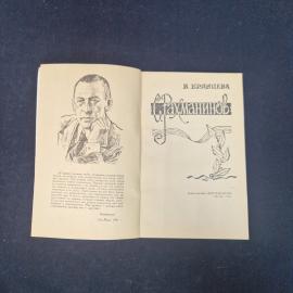 Картинка 4