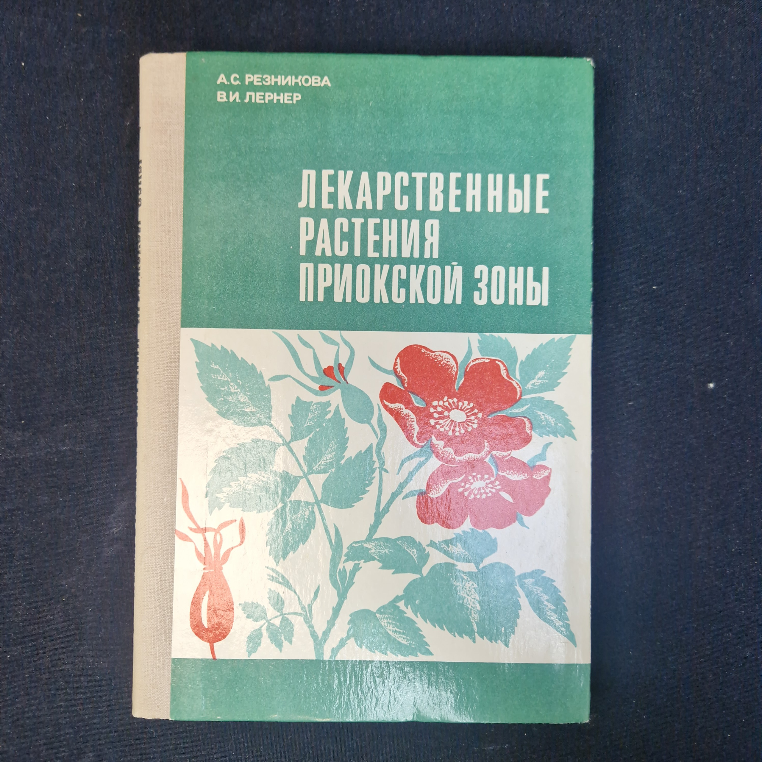 Картинка 1