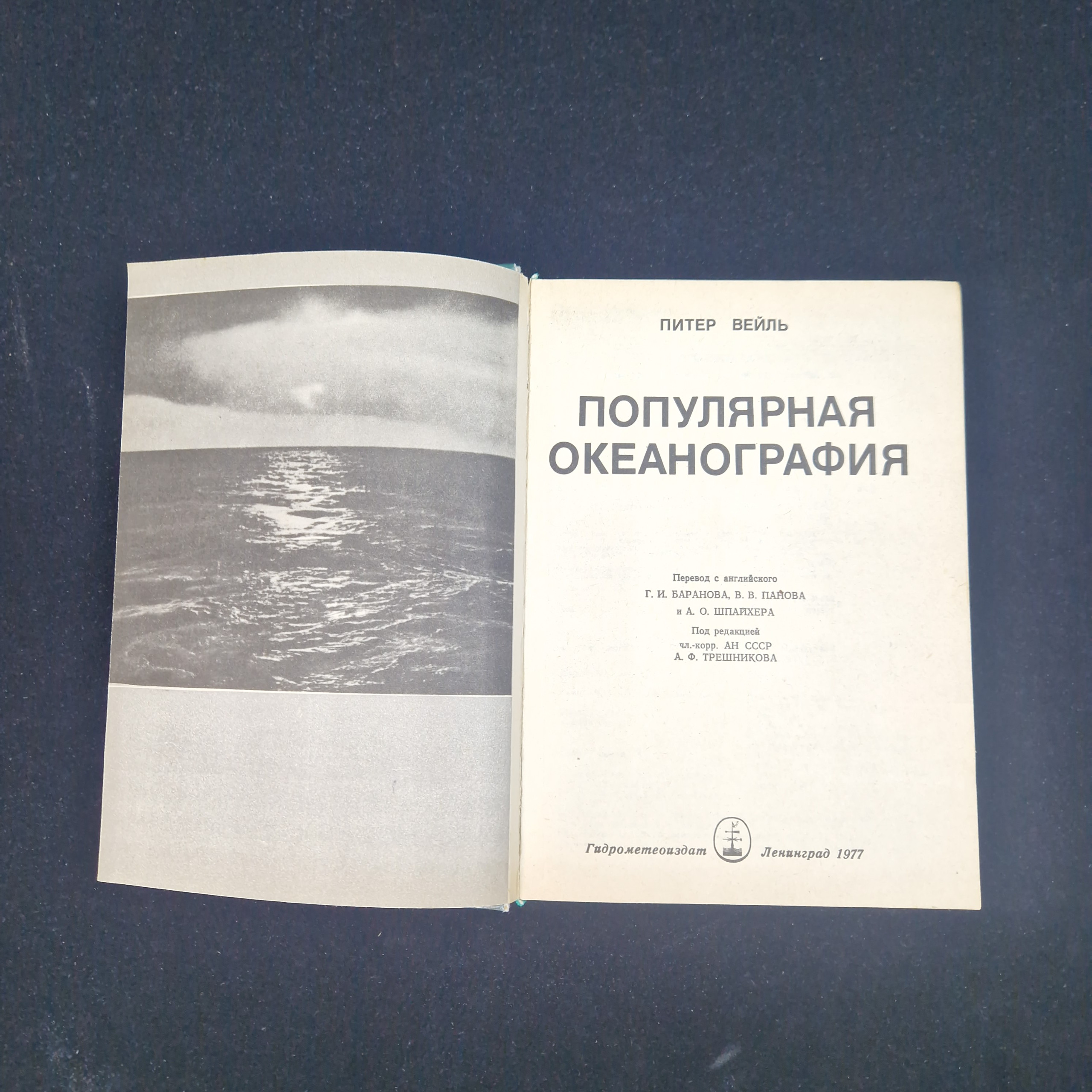 Картинка 4