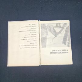 Картинка 4
