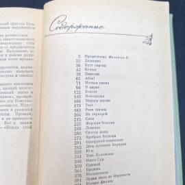 Картинка 7