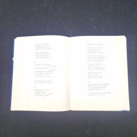 Картинка 5