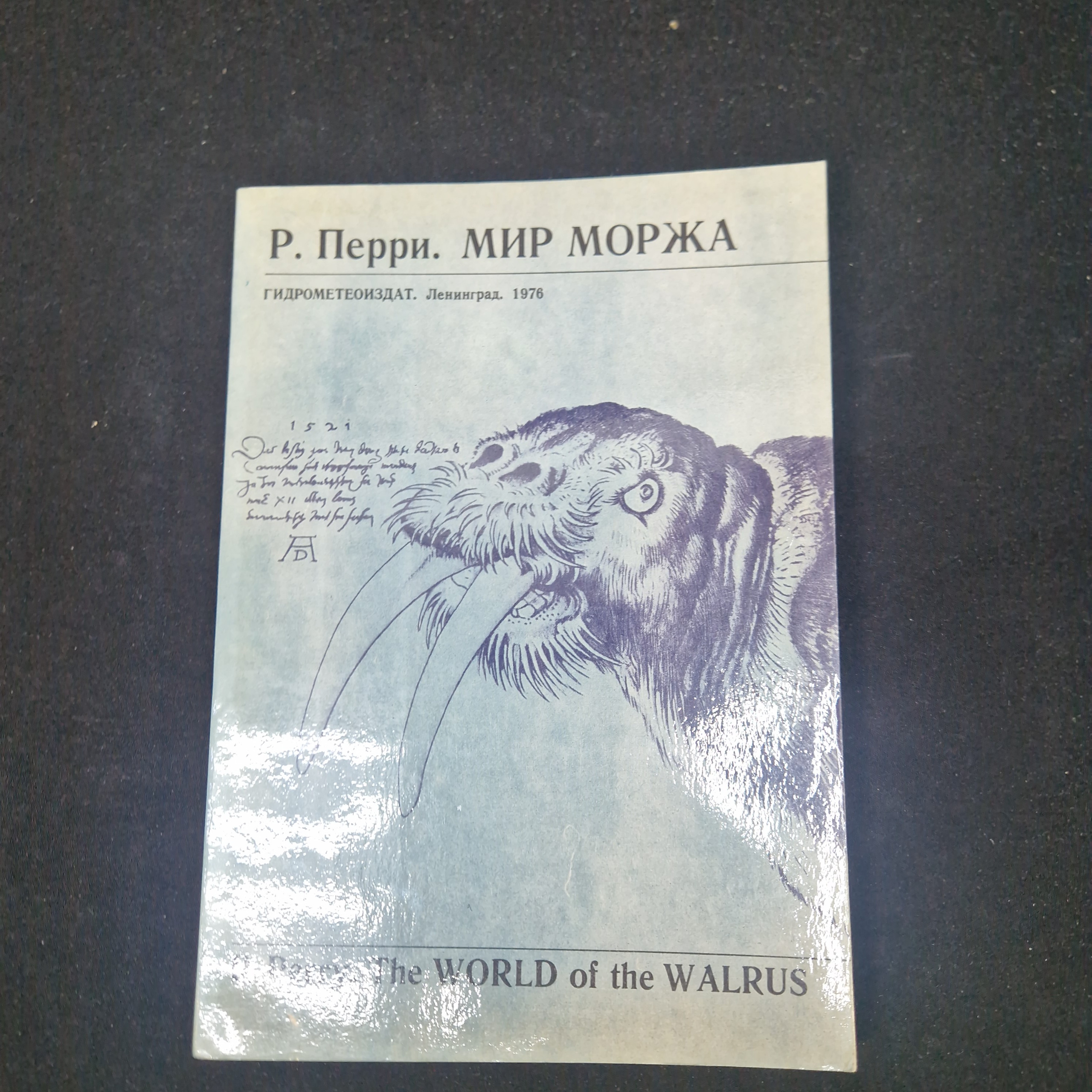 Картинка 1