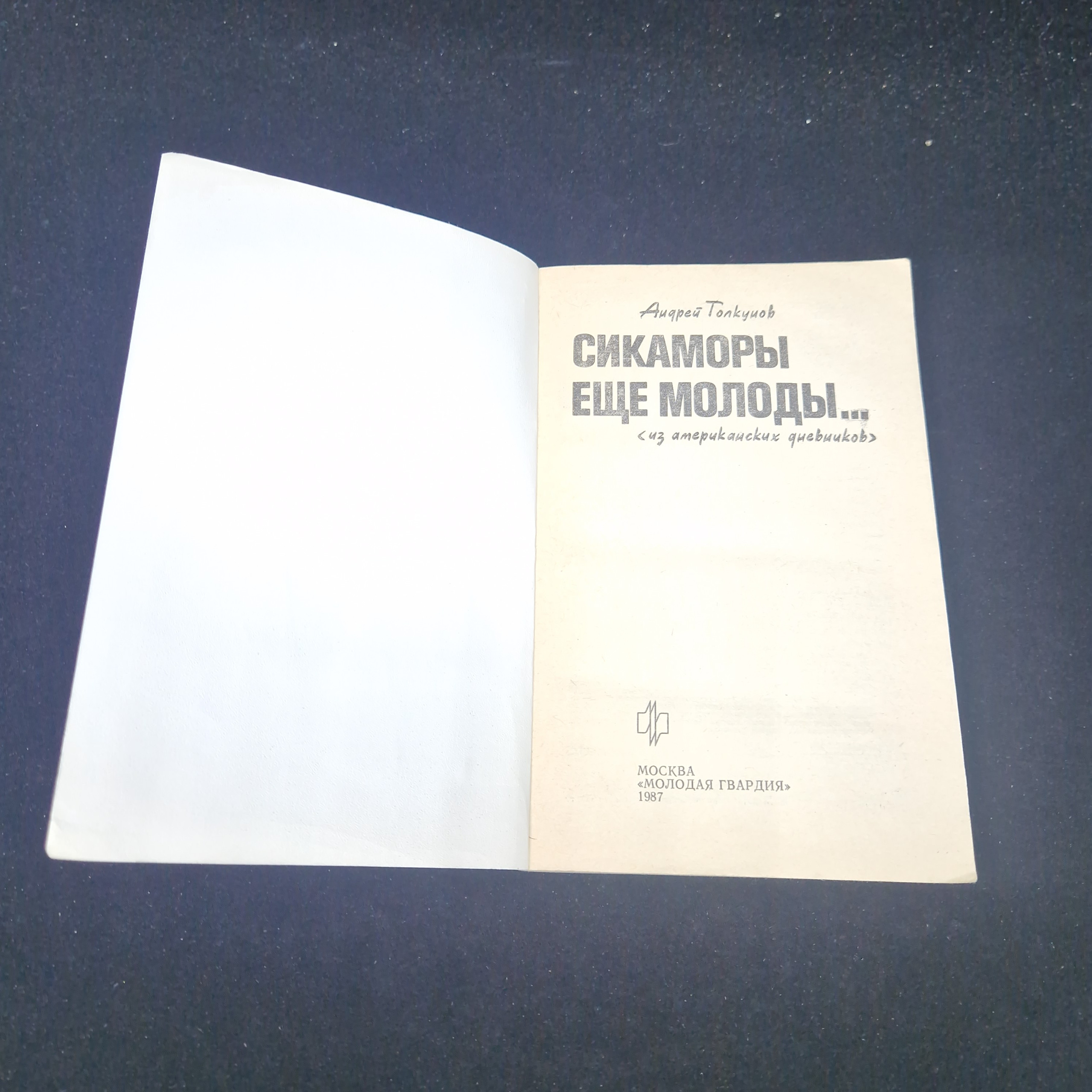 Картинка 4