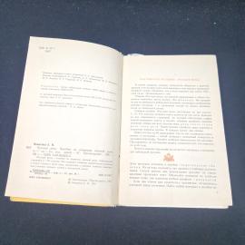 Картинка 4