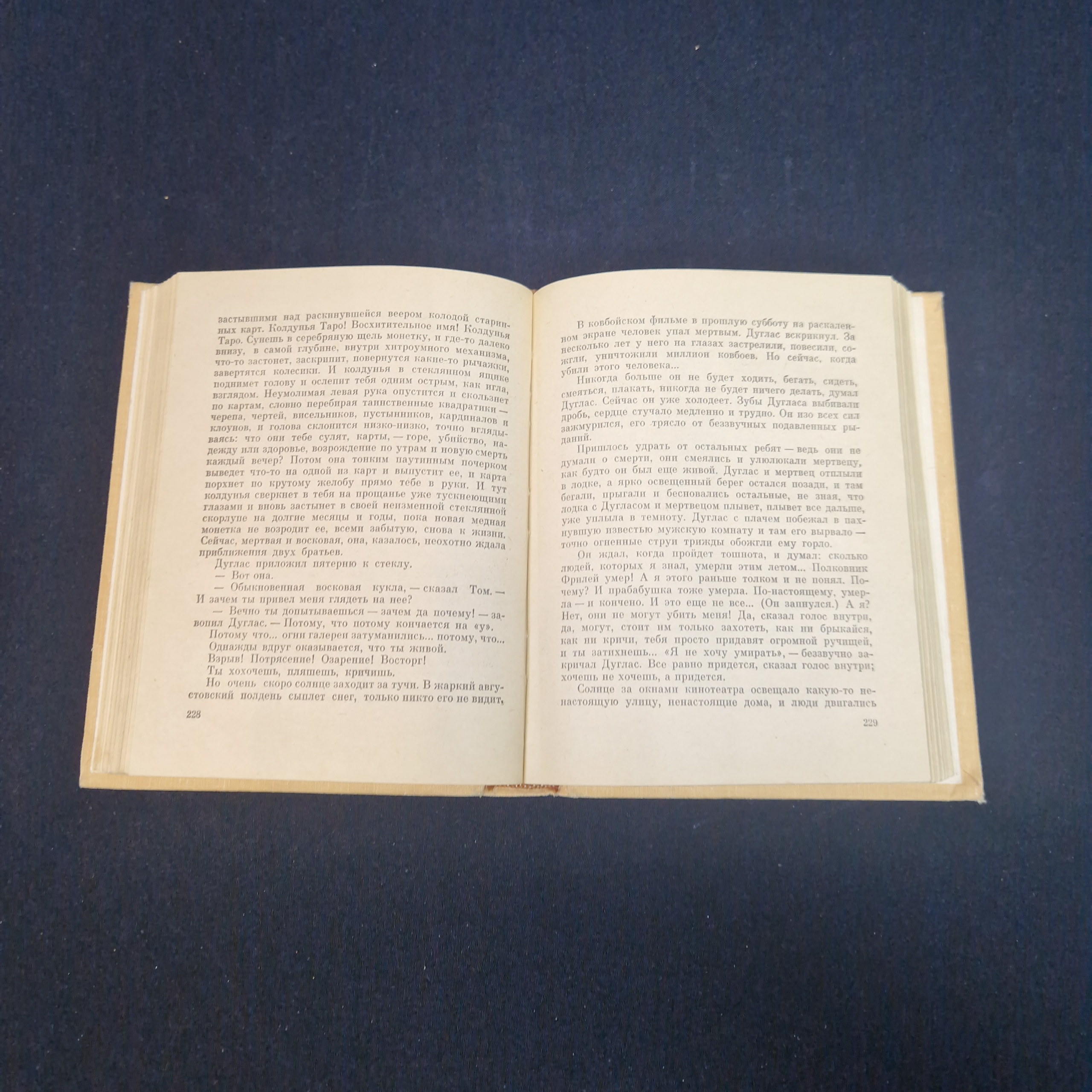 Картинка 6