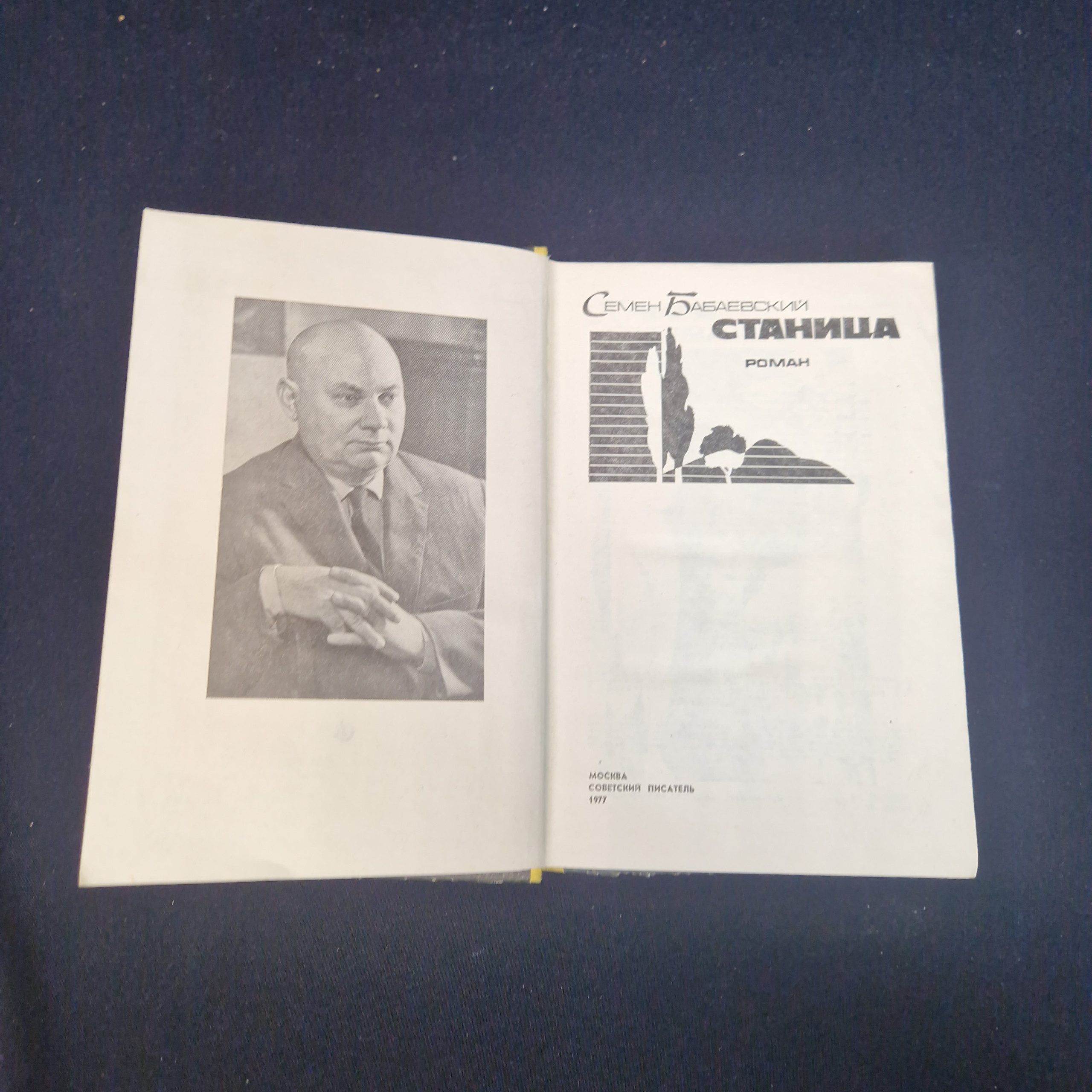 Картинка 4