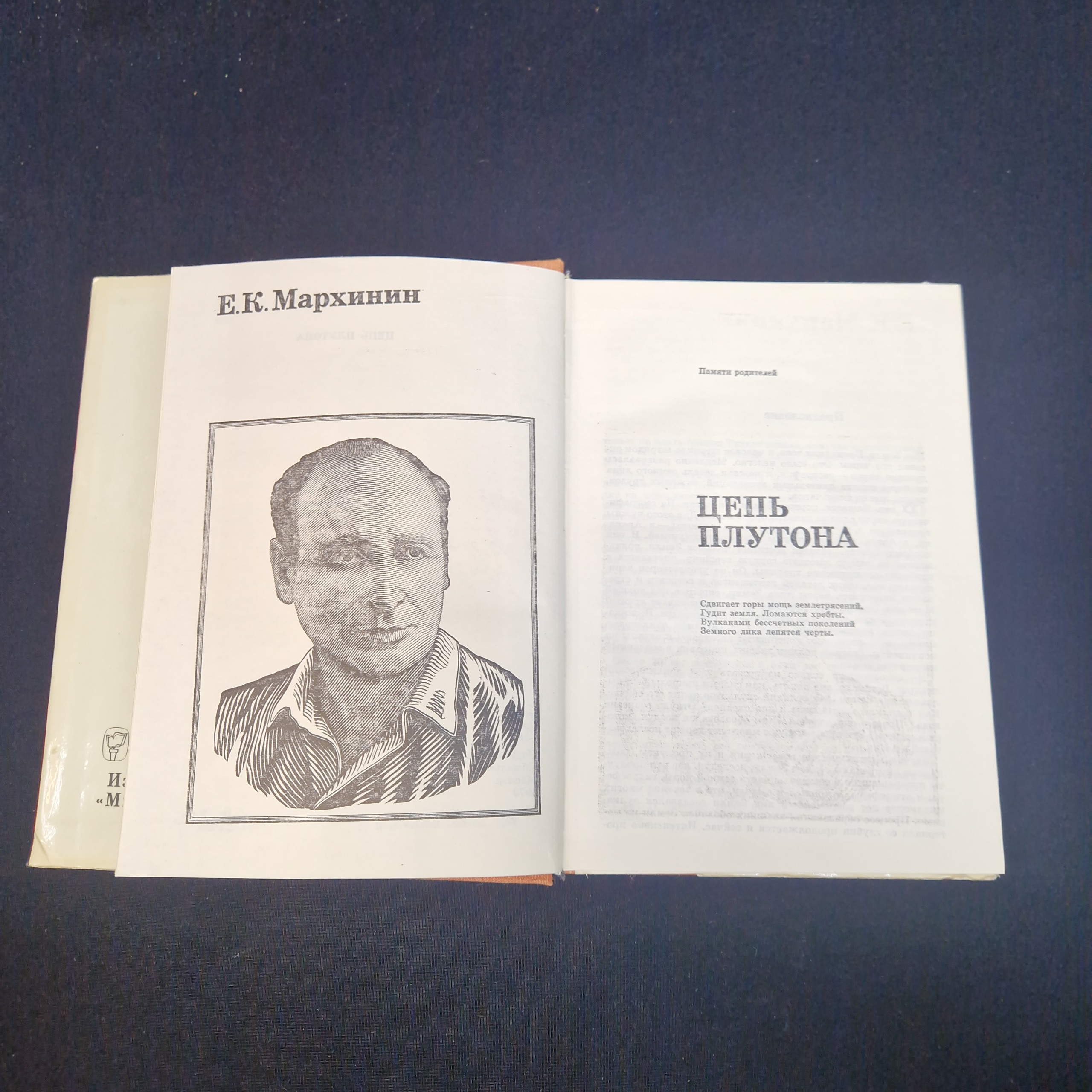 Картинка 4