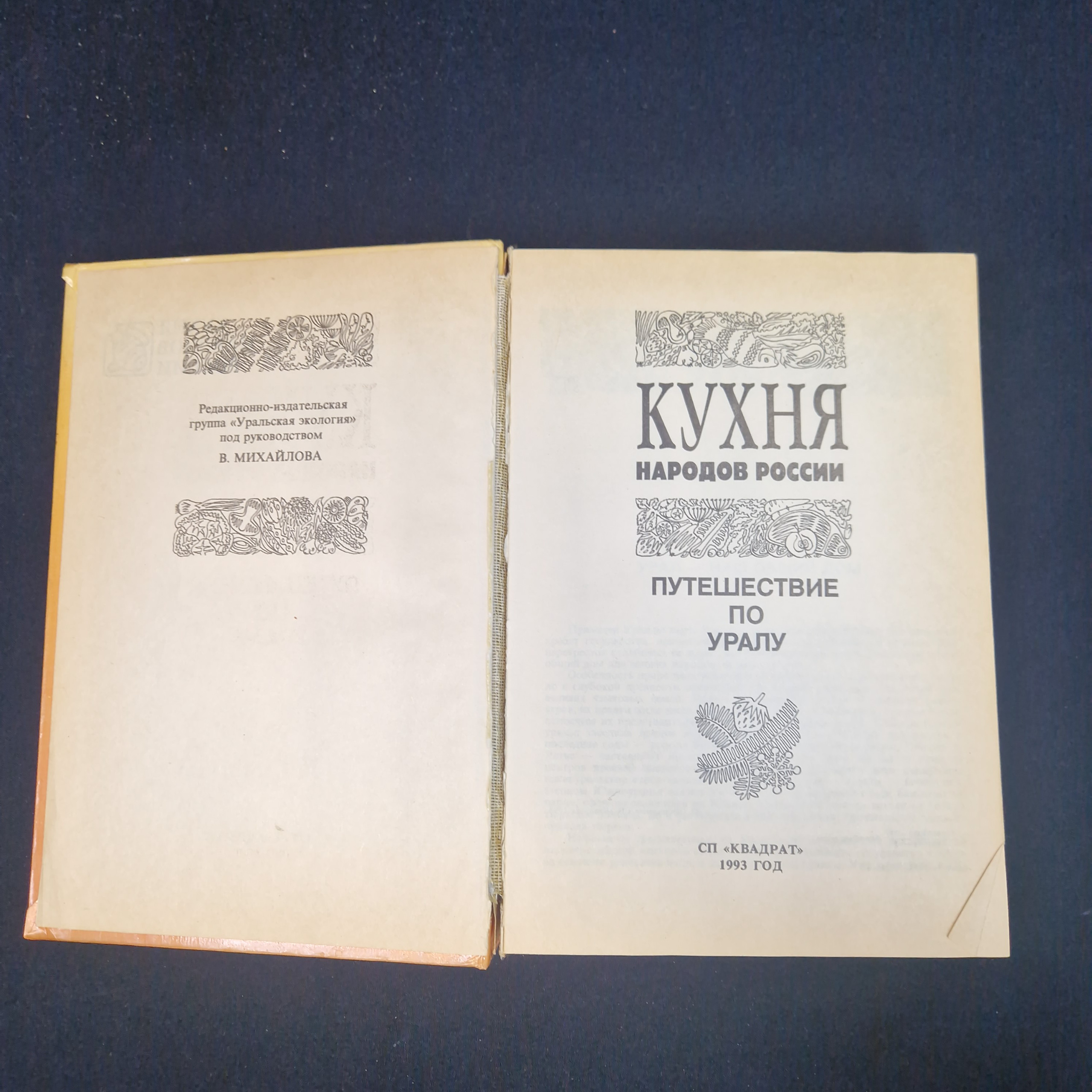 Картинка 4