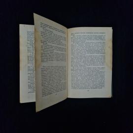 Картинка 5