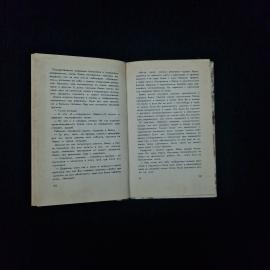 Картинка 4