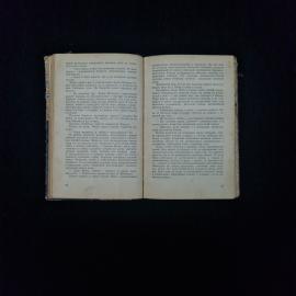 Картинка 4