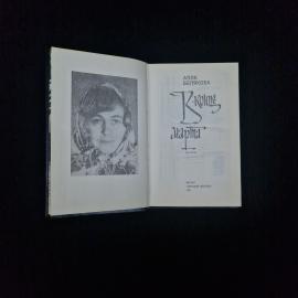 Картинка 3