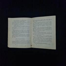 Картинка 4