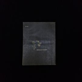 Картинка 2