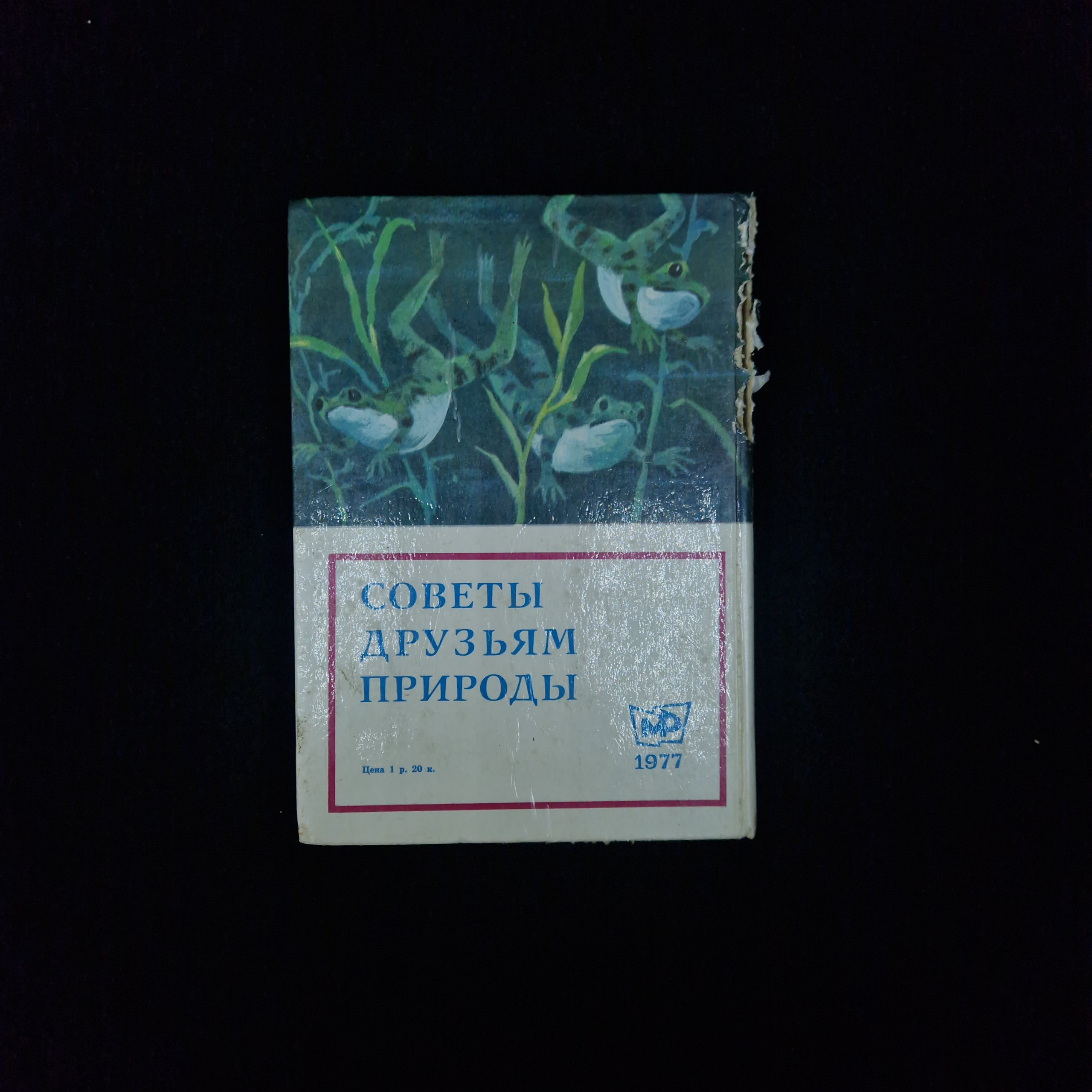 Картинка 3