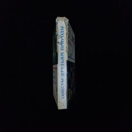 Картинка 2
