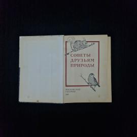 Картинка 4