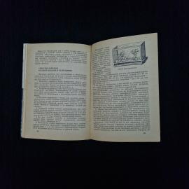 Картинка 5
