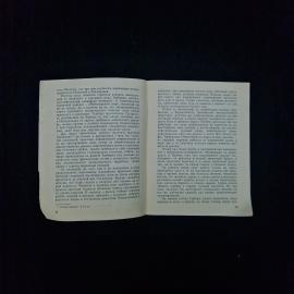 Картинка 4