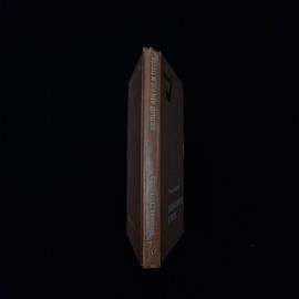 Картинка 2