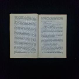 Картинка 5