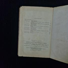 Картинка 5