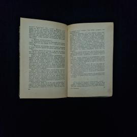 Картинка 4