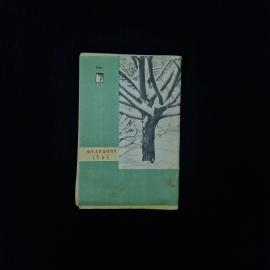 Картинка 2
