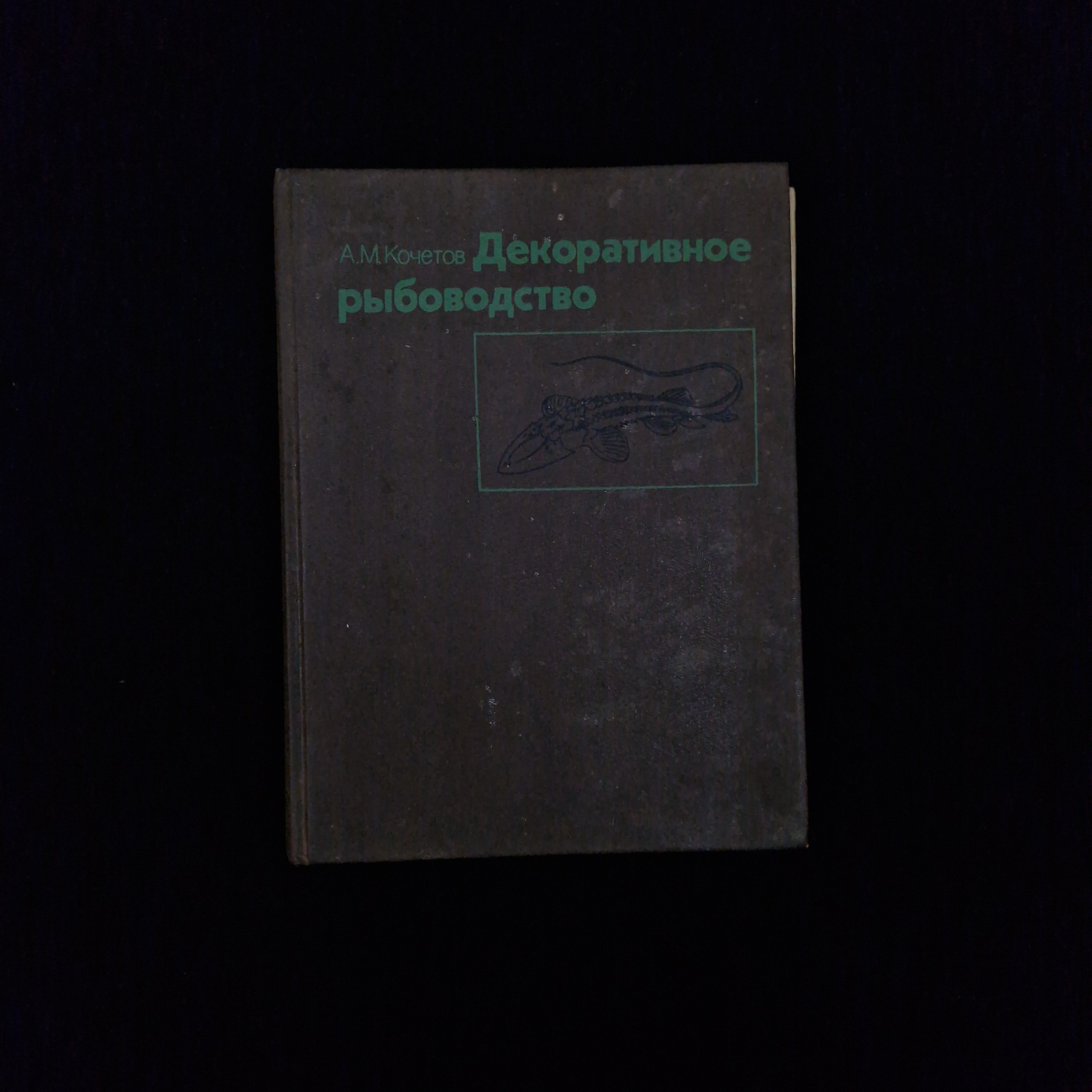 Картинка 1