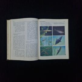 Картинка 4