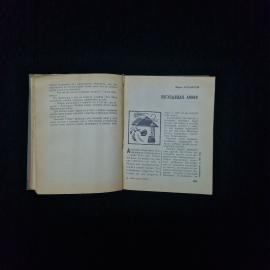 Картинка 5