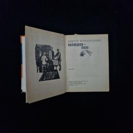 Картинка 4