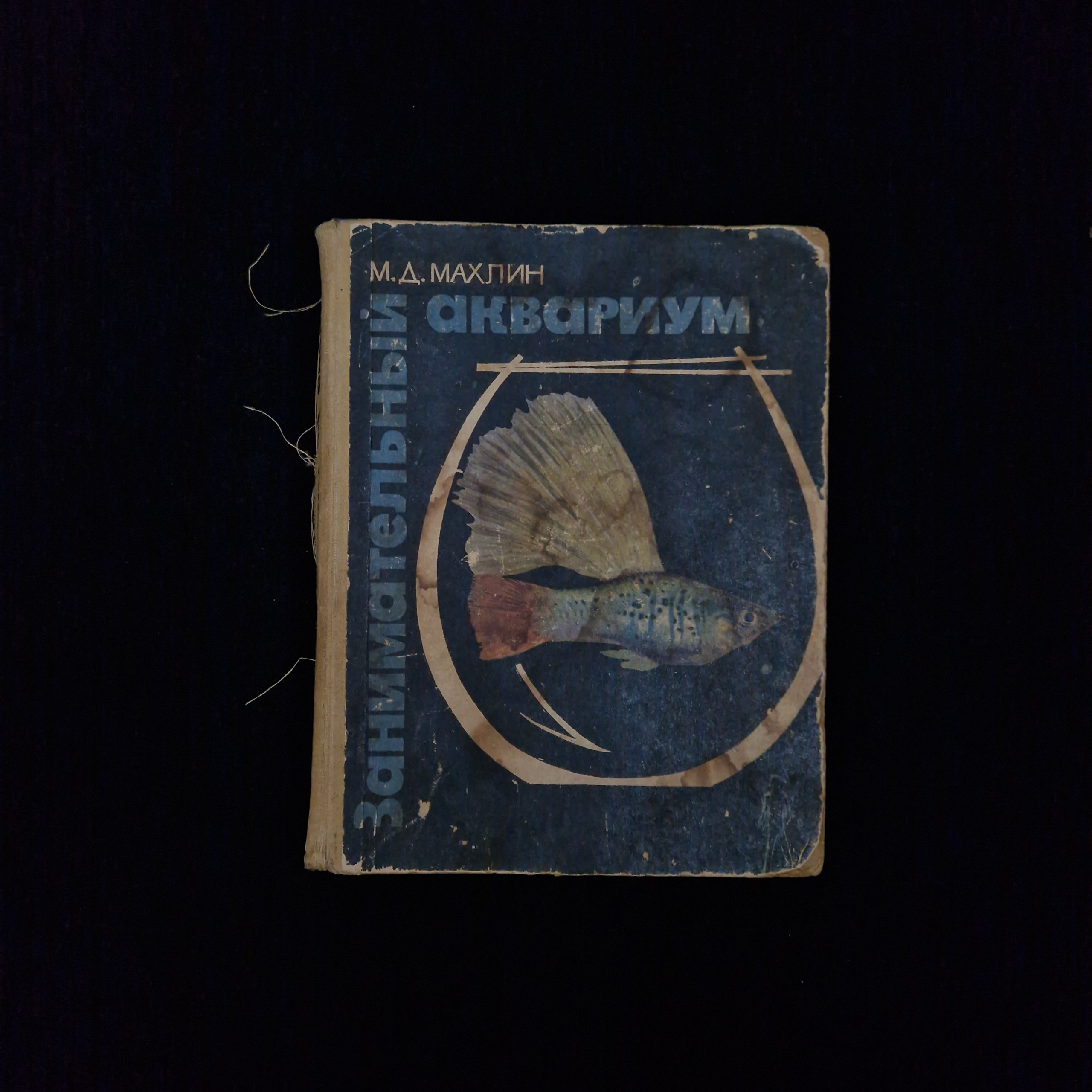 Картинка 1