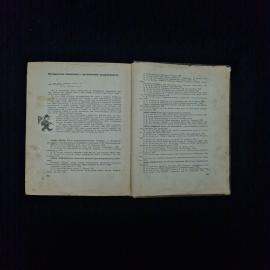 Картинка 5