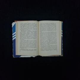 Картинка 4