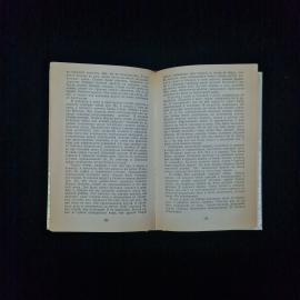 Картинка 5
