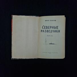 Картинка 3