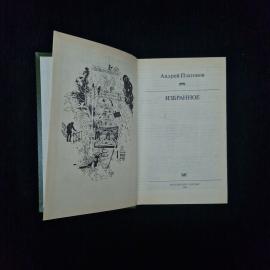 Картинка 4