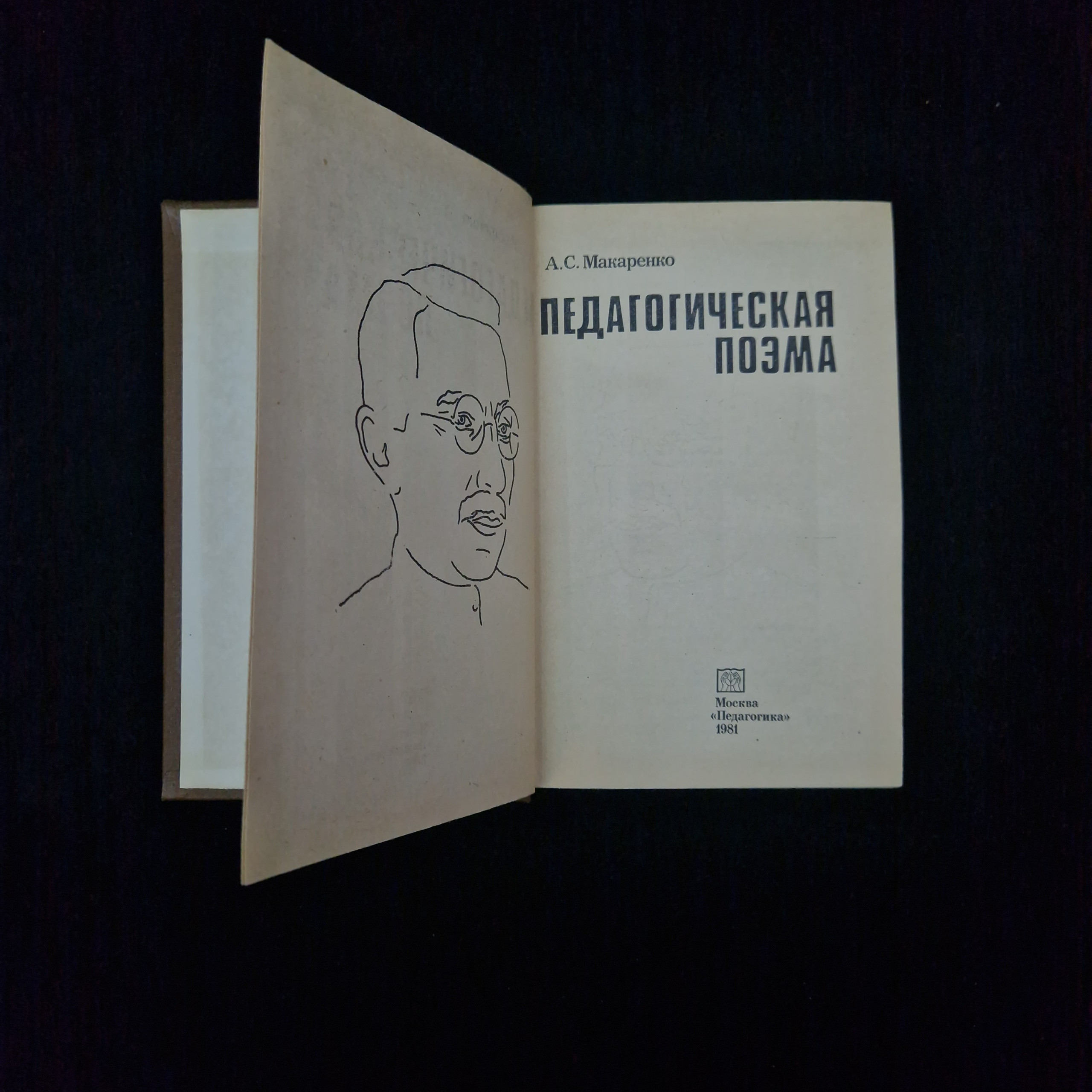 Картинка 4