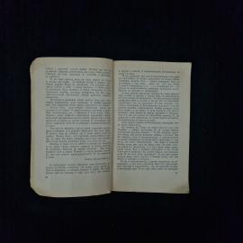 Картинка 5
