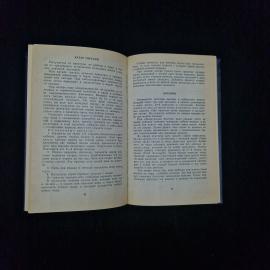 Картинка 4