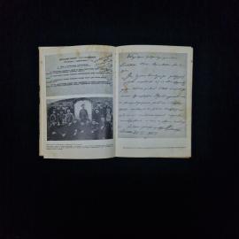 Картинка 5