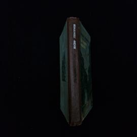 Картинка 2