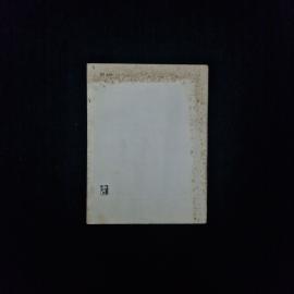 Картинка 2